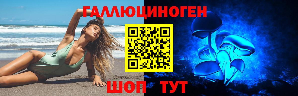 Галлюциногенные грибы Psilocybine cubensis  Вход с VPN  Губкинский 
